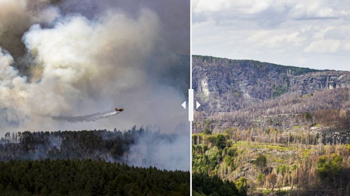 Před a rok poté: Jak změnil loňský požár České Švýcarsko?